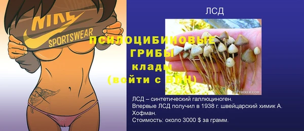 соль ск Алексеевка