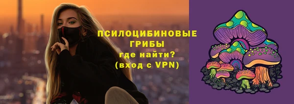 соль ск Алексеевка
