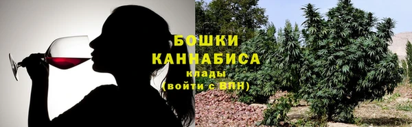 соль ск Алексеевка