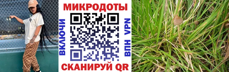 Псилоцибиновые грибы Psilocybe  Хвалынск 